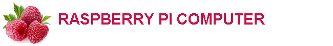 Raspberry pi logo